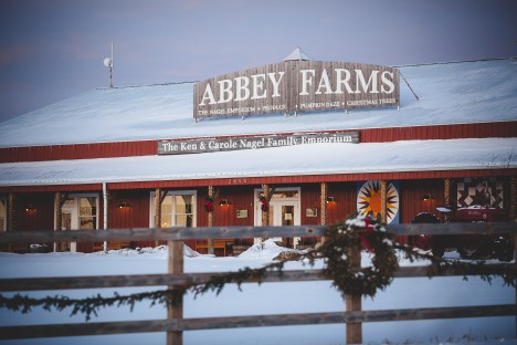 A Rustic Winter Wedding @ Abbey Farms in Aurora, Illinois