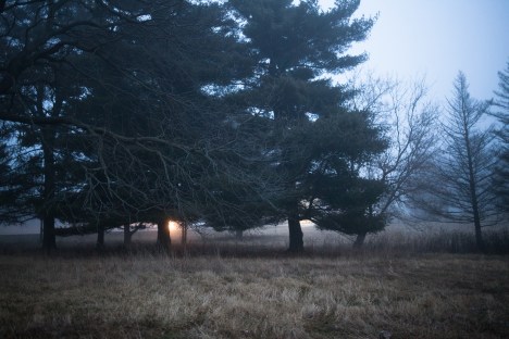 A walk in the Upside Down